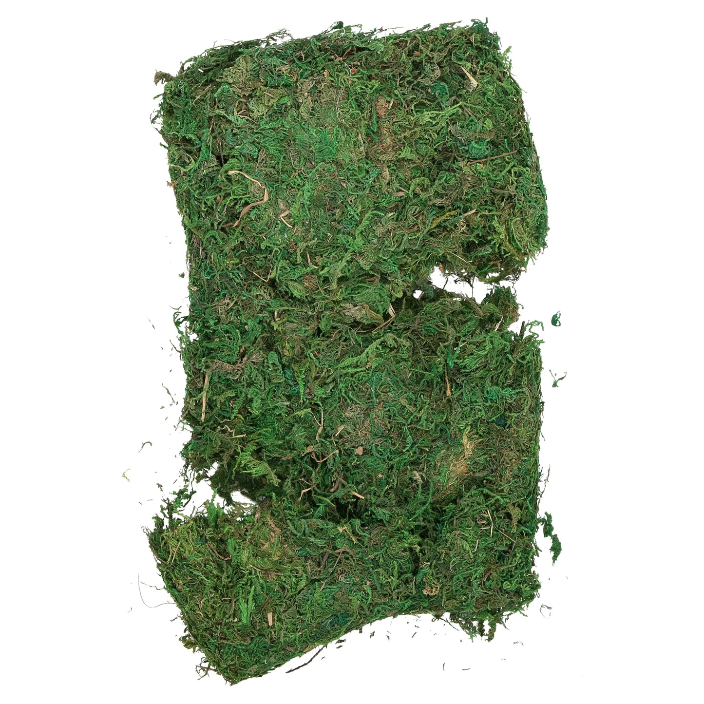 Greenrepta Moss, 8QT Substrate for Reptiles