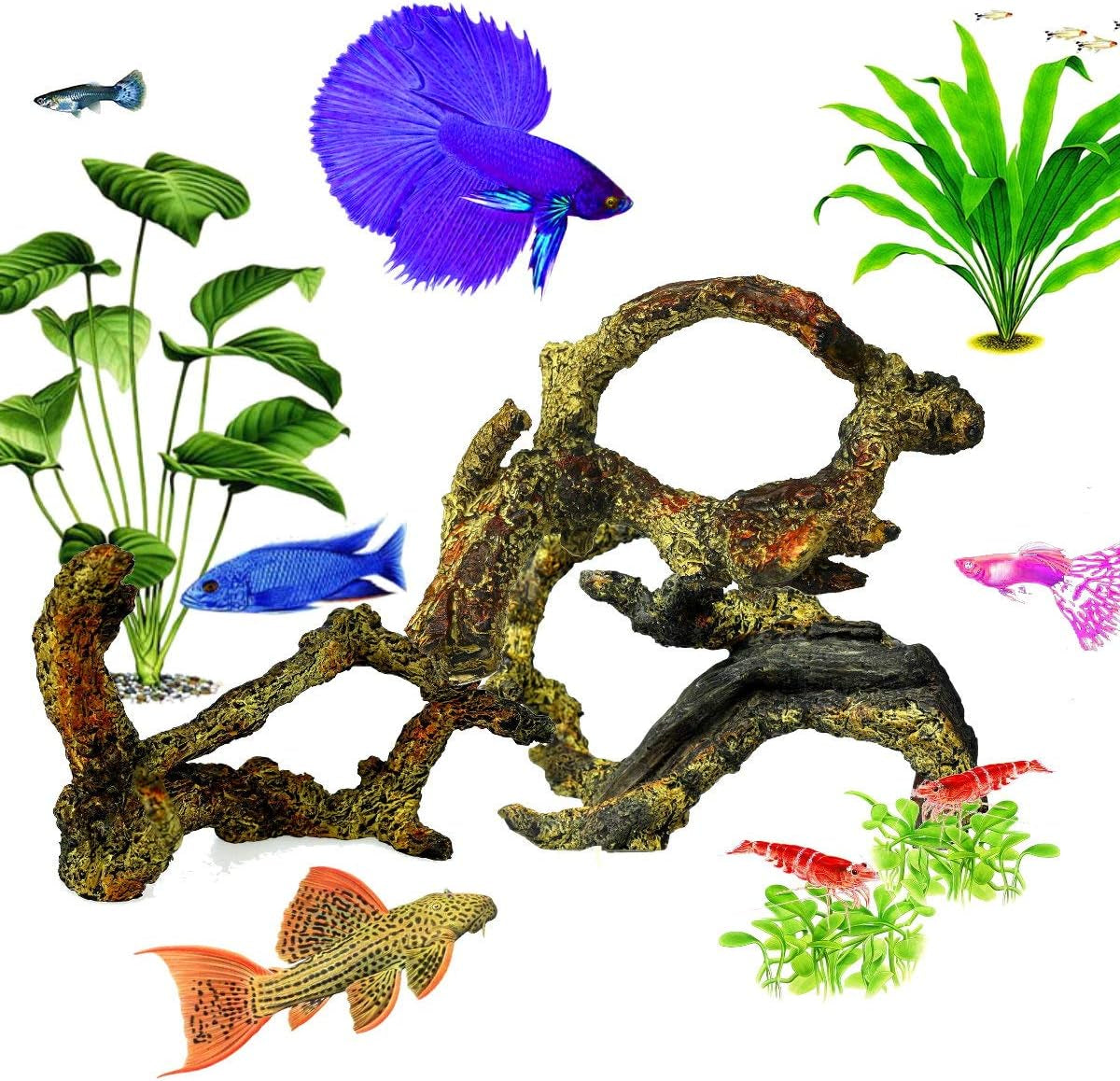 Driftwood for Aquarium Decoration Freshwater Fish Tank Plant Shrimp Decor (CO-058)
