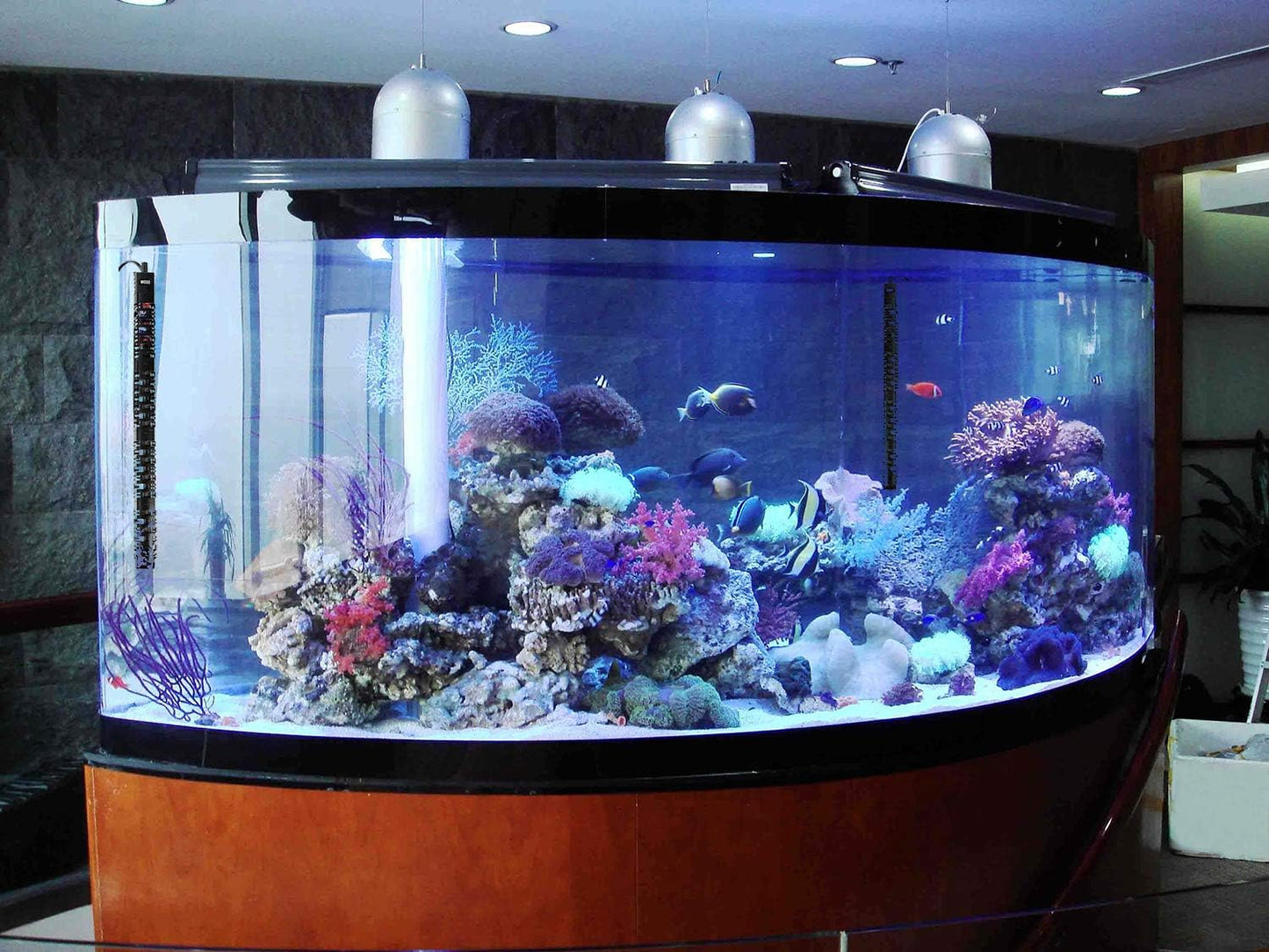 100W/300W/500W Aquarium Heater Submersible 10-90 Gallon 300 Watt Fish Tank Heater with Durable Quartz Glass Protective Sleeve Auto Thermostat for Fresh Water and Salt Water