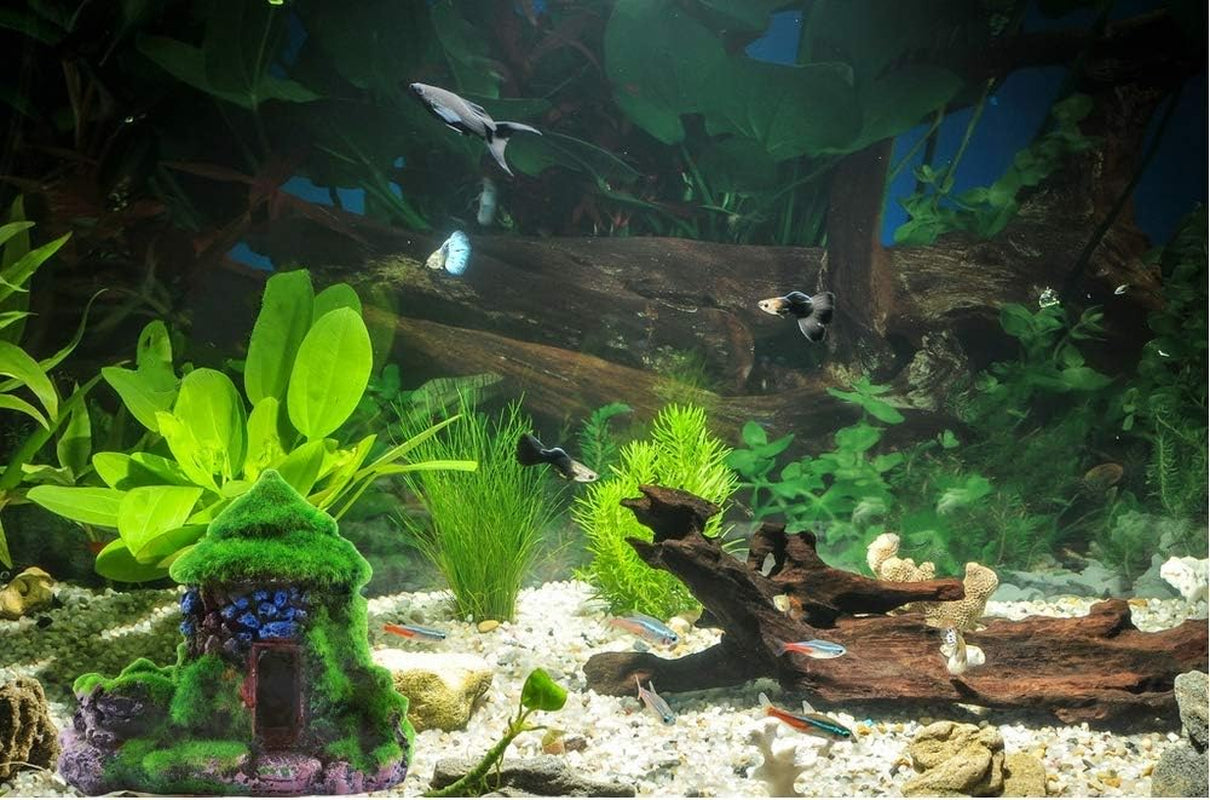 Aquarium Decorations Fish Hideout House Betta Cave with Green Lifelike Moss (Style 1)