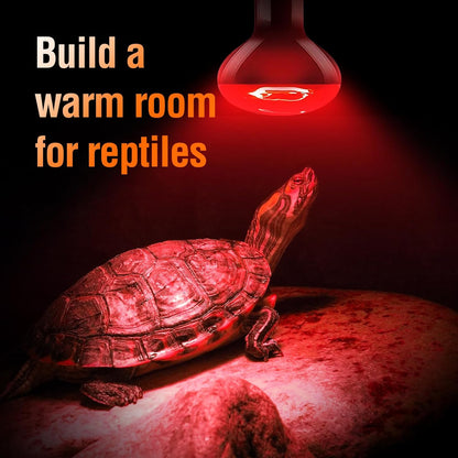 2-Pack 50W Infrared Heat Lamp Red Night Light Bulbs for Reptile Terrariums