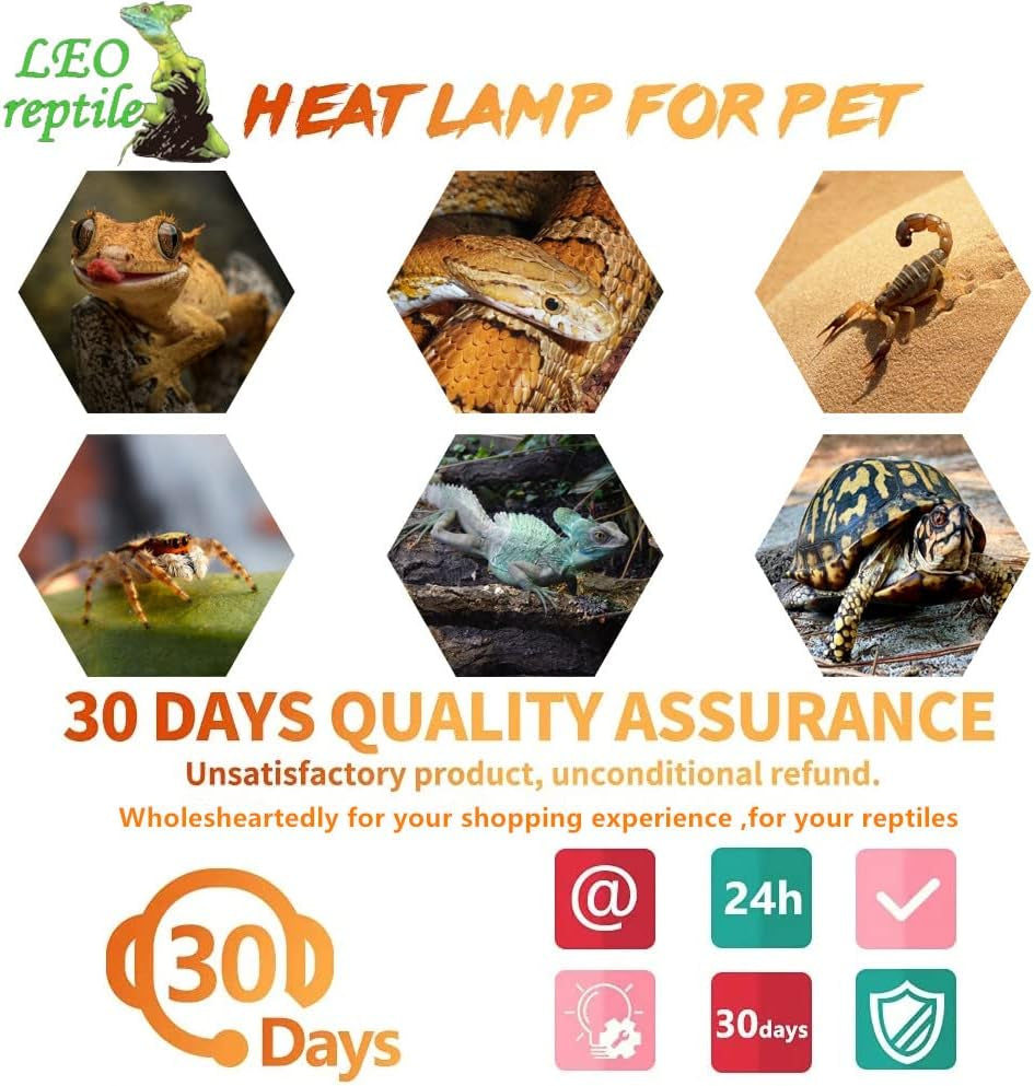 2-Pack 50W Infrared Heat Lamp Red Night Light Bulbs for Reptile Terrariums