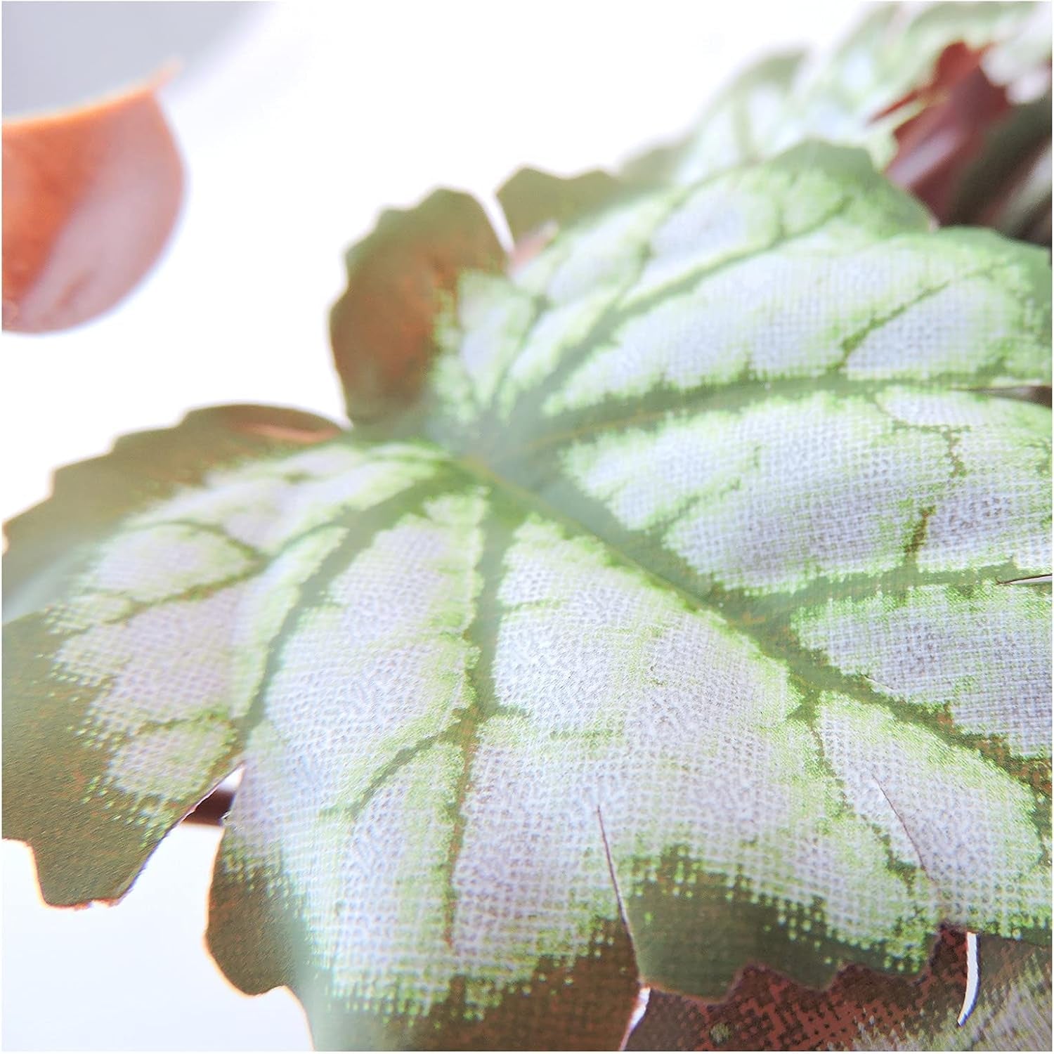 Reptile Plants, Plastic Simulation Leaf with Sucker Fish Tank Decoration(25Cm), Artificial Green Plant Fake Hanging Leaves Durable Aquarium Decor Ornaments (Light Green)