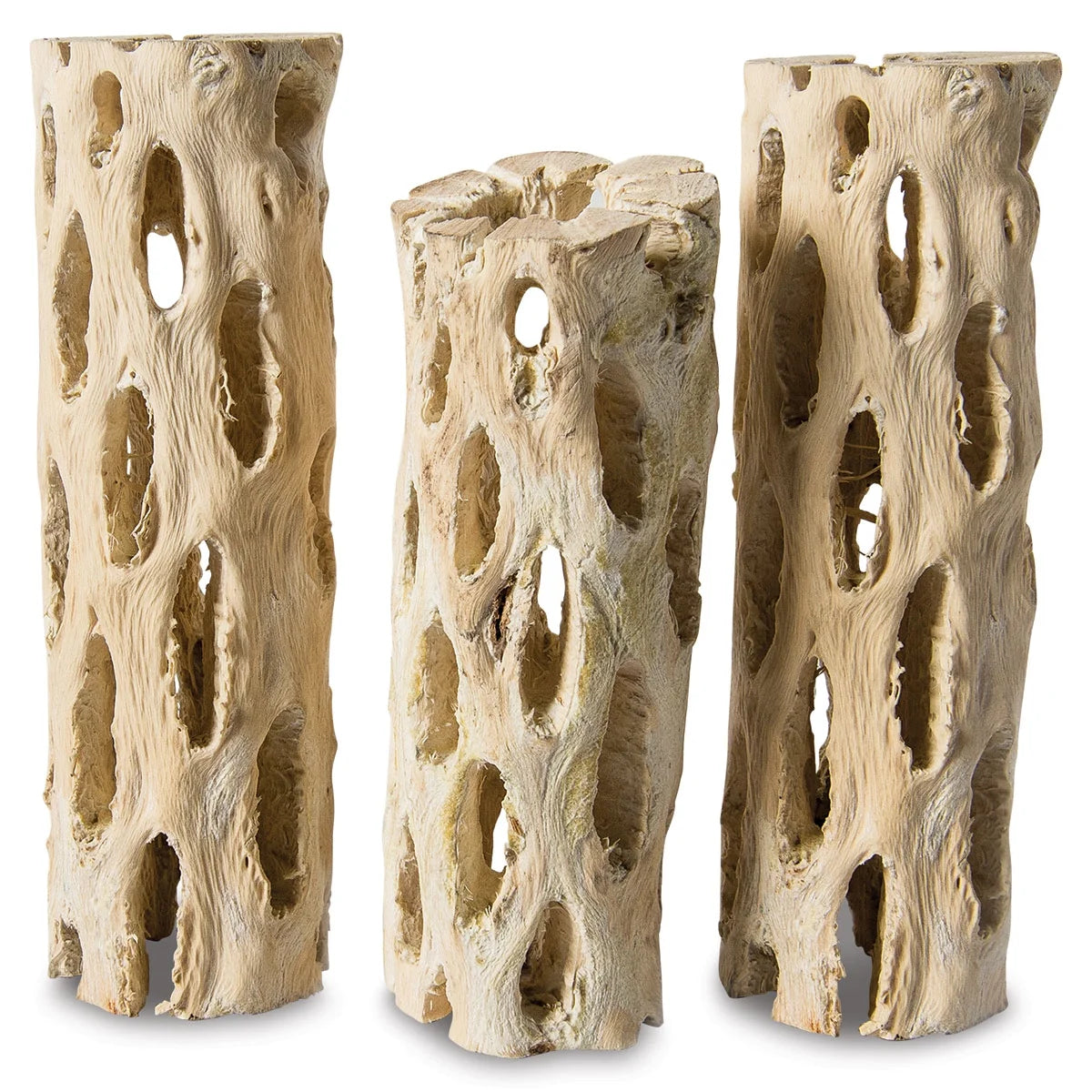 Supermoss Cholla Wood - Pkg of 3