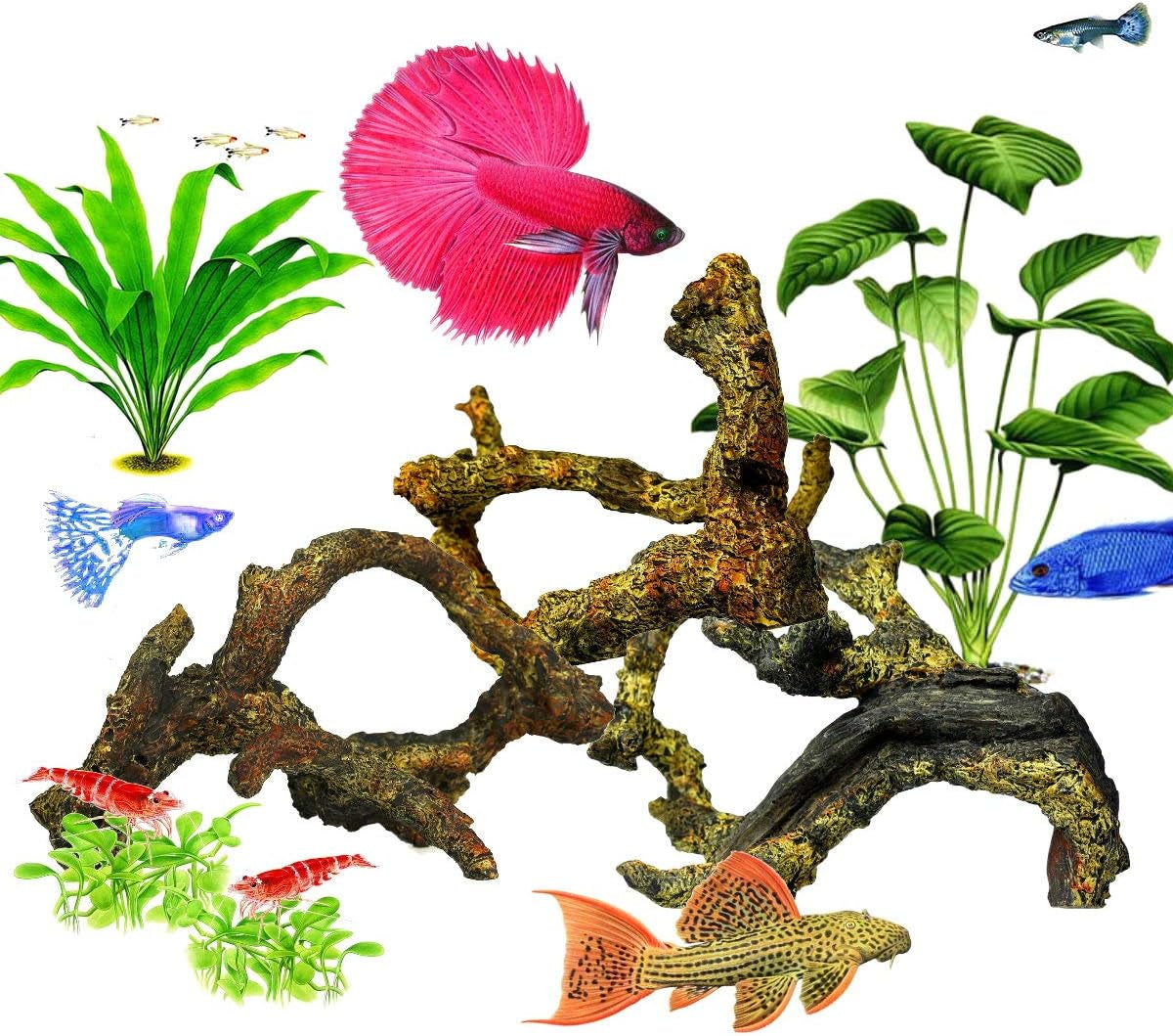 Driftwood for Aquarium Decoration Freshwater Fish Tank Plant Shrimp Decor (CO-058)
