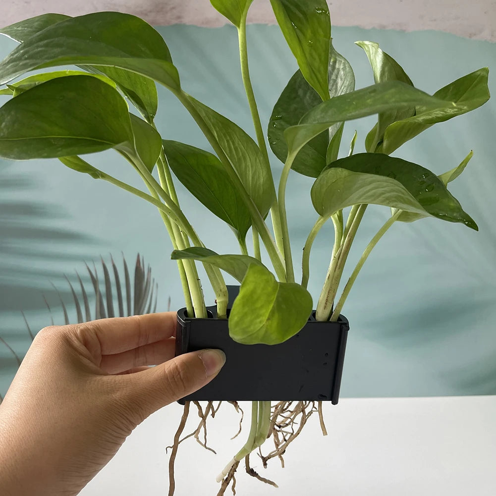 Aquarium Planter with Integrated Hook for Fish Tank Potted Live Aquarium Plants Aquarium Plant Basket Fish Tank Decorations
