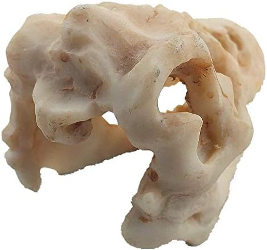Resin Dinosaur Skull Aquarium Ornament Mini Dinosaur Tank Decoration Betta Fish Small Dinosaur Skull Fish Reptile Tank with Holes Aquarium Landscape Reptile Hideout Caves