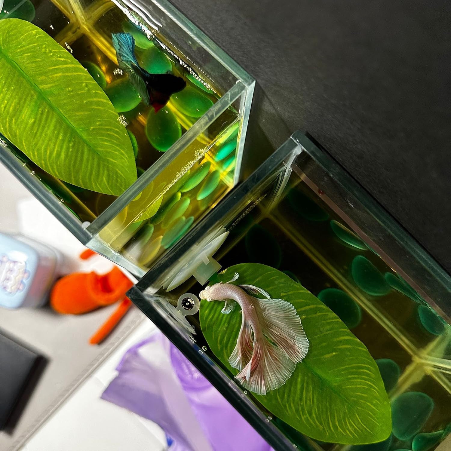 No Wire Betta Bed Leaf Hammock, Silk Betta Fish Leaf Hammocks Pad Lounger Toys Lightweight and Realistic Fish Hideout Plastic Aquarium Plants Accessories for Fish Tank Decorations (2Pcs), Green