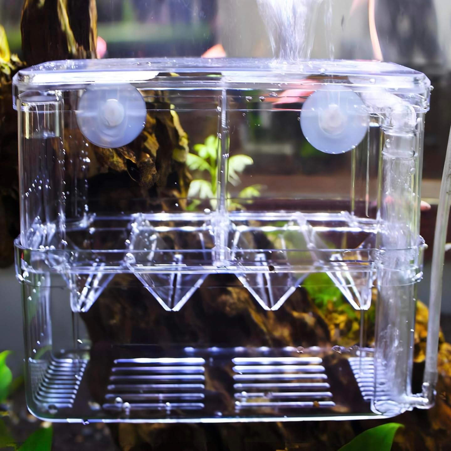 In-Tank Aquarium Breeder Box for Fish Tank, Breeding Incubator for Small Fish Hatchery, Acrylic Divider for Shrimp Clownfish Aggressive and Injured Fish, Can Connect Air Pump (Medium)
