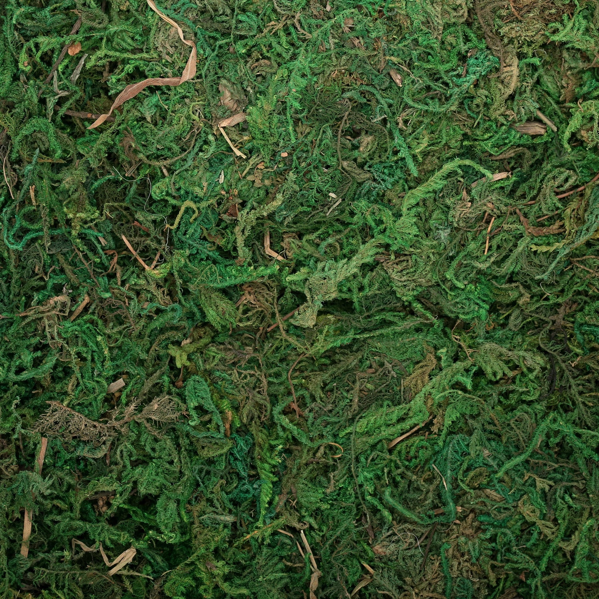 Greenrepta Moss, 8QT Substrate for Reptiles