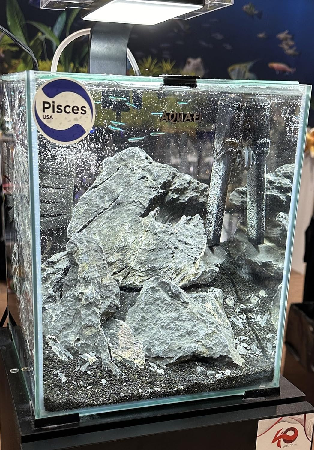 20Lb Black Sand Substrate for Aquascaping, Aquariums, Vivariums, Terrariums