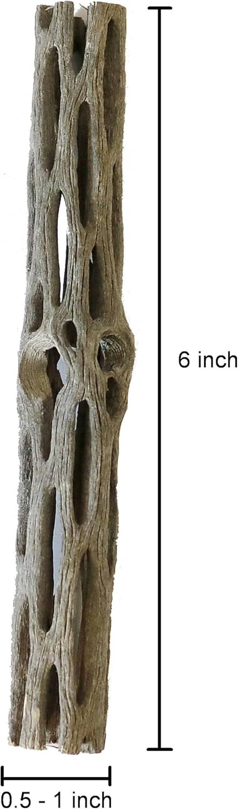 Natural Cholla Wood for Aquarium Decoration Shrimp and Fish Tank (6 Inch (3 Pack))