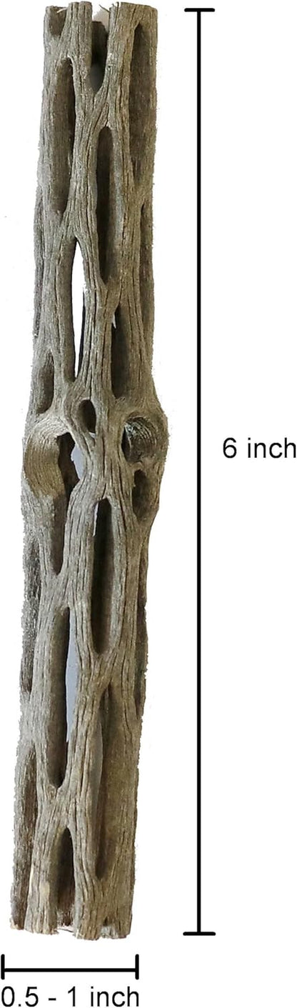 Natural Cholla Wood for Aquarium Decoration Shrimp and Fish Tank (6 Inch (3 Pack))