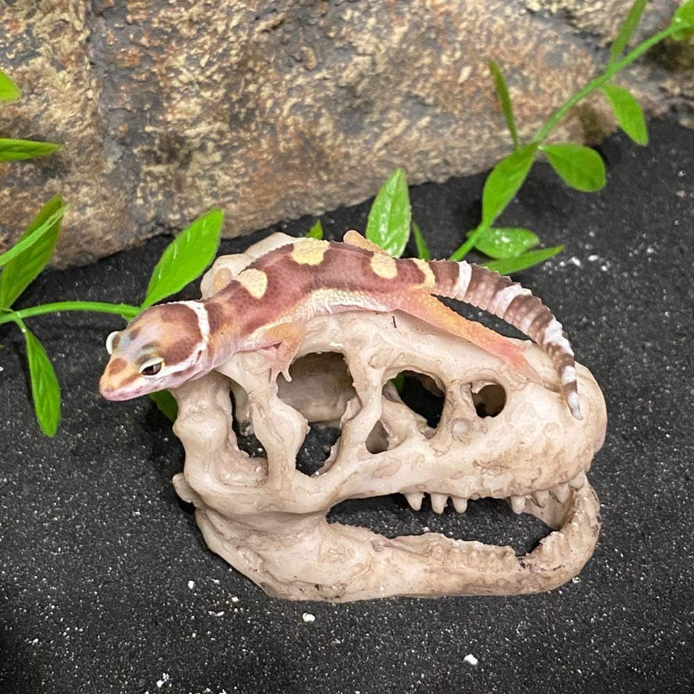 Resin Dinosaur Skull Aquarium Ornament Mini Dinosaur Tank Decoration Betta Fish Small Dinosaur Skull Fish Reptile Tank with Holes Aquarium Landscape Reptile Hideout Caves