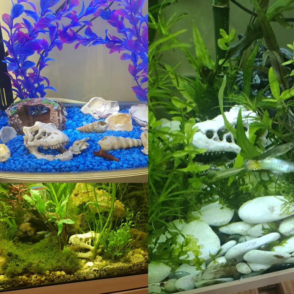 Resin Dinosaur Skull Aquarium Ornament Mini Dinosaur Tank Decoration Betta Fish Small Dinosaur Skull Fish Reptile Tank with Holes Aquarium Landscape Reptile Hideout Caves