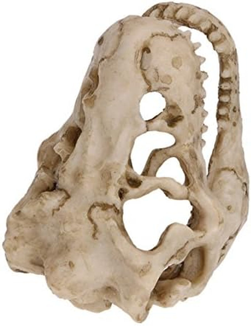 Resin Dinosaur Skull Aquarium Ornament Mini Dinosaur Tank Decoration Betta Fish Small Dinosaur Skull Fish Reptile Tank with Holes Aquarium Landscape Reptile Hideout Caves