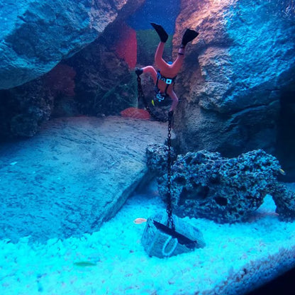 Treasure Chest Fish Tank Decorations Treasure Hunter Aquarium Decoration Accessories Diver Action Figure Fish Tank Ornament