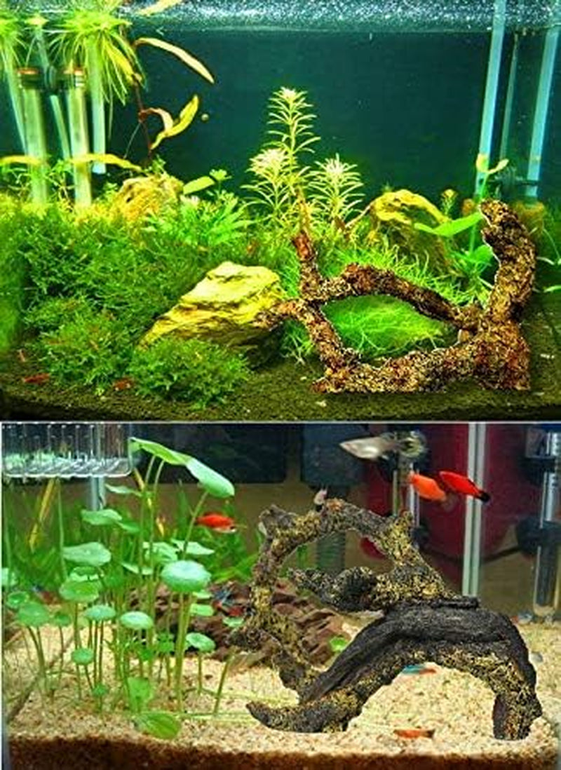 Driftwood for Aquarium Decoration Freshwater Fish Tank Plant Shrimp Decor (CO-058)