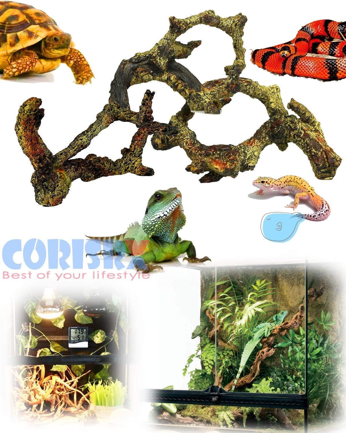 Driftwood for Aquarium Decoration Freshwater Fish Tank Plant Shrimp Decor (CO-058)