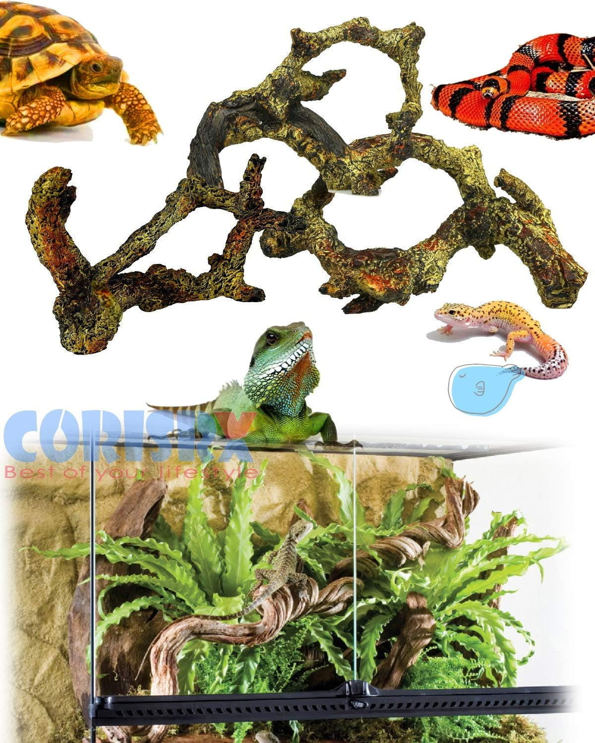 Driftwood for Aquarium Decoration Freshwater Fish Tank Plant Shrimp Decor (CO-058)